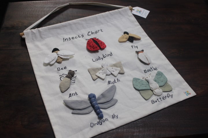 ოთახის დეკორაცია – მწერები